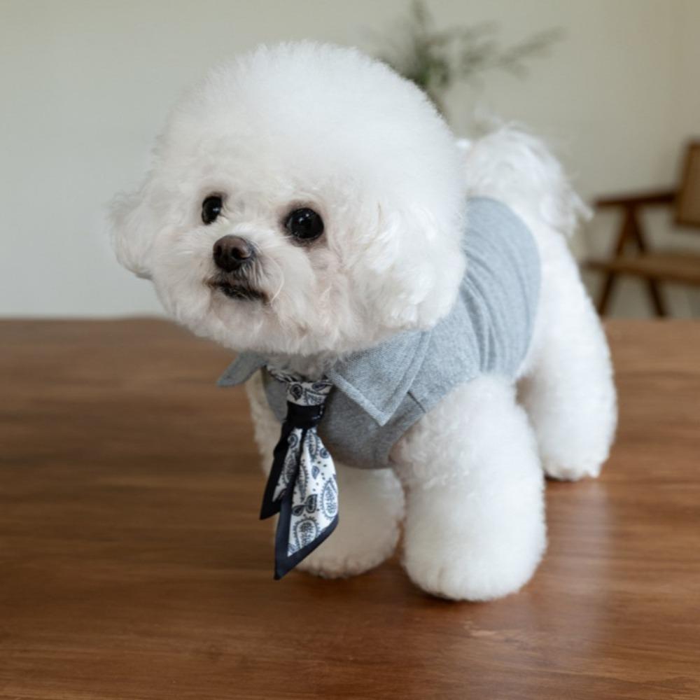 Autumn and Winter Pet Vest Cute Scarf Base Shirt Pet Teddy Solid Color Coat Puppy Clothes Dog Clothes for Small Dogs
