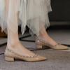 Spring and Summer New Versatile Rivet Pointed Shoes Medium High Heels Light Mouth Shoes Thick Heel Willow Nail Shoes Large Size Single Shoes Women