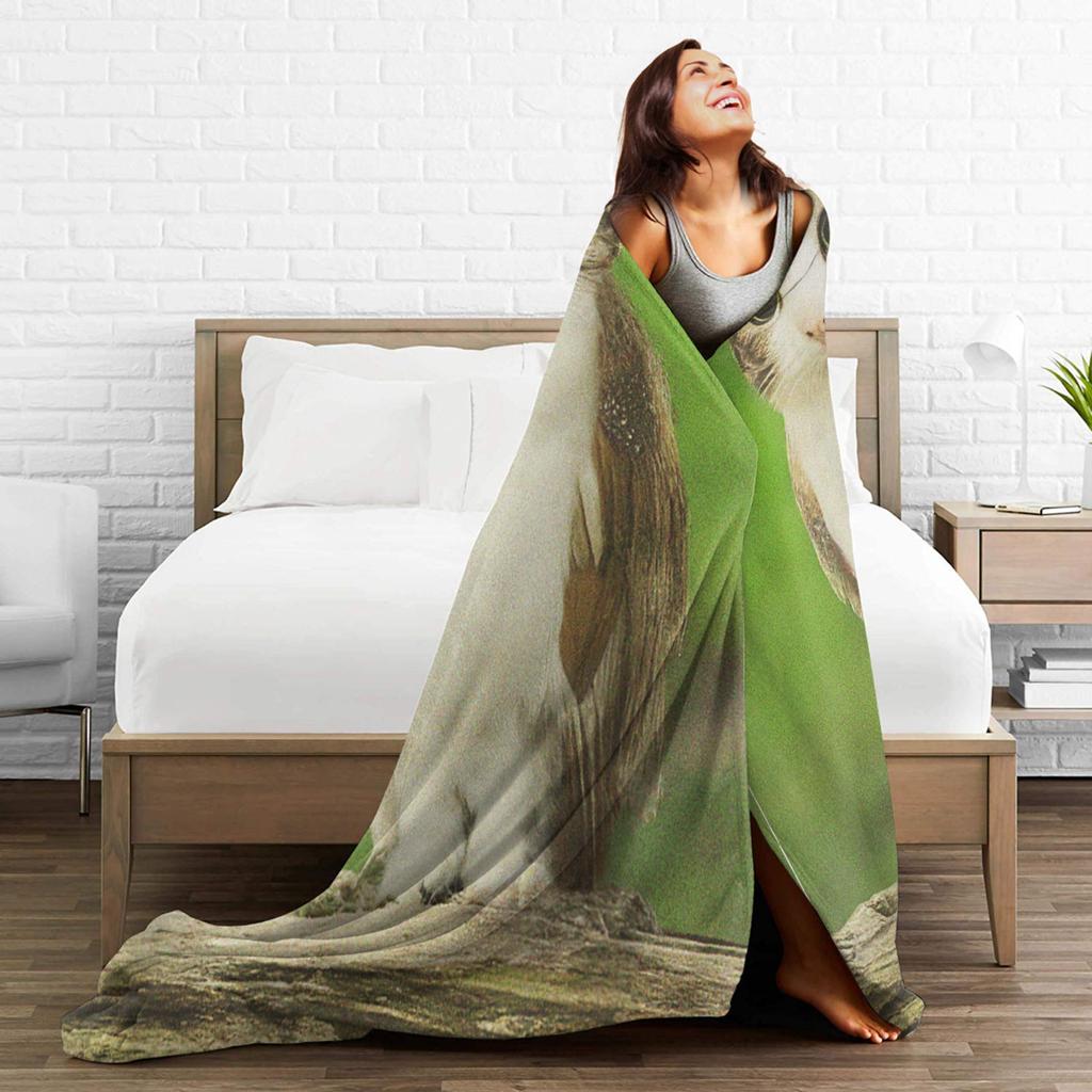 Cat Owl Funny Cursed Internet Trendy Meme Blankets Flannel Bedding Throws For Couch Chair Sofa Bed Warm Bedspread Gift Idea