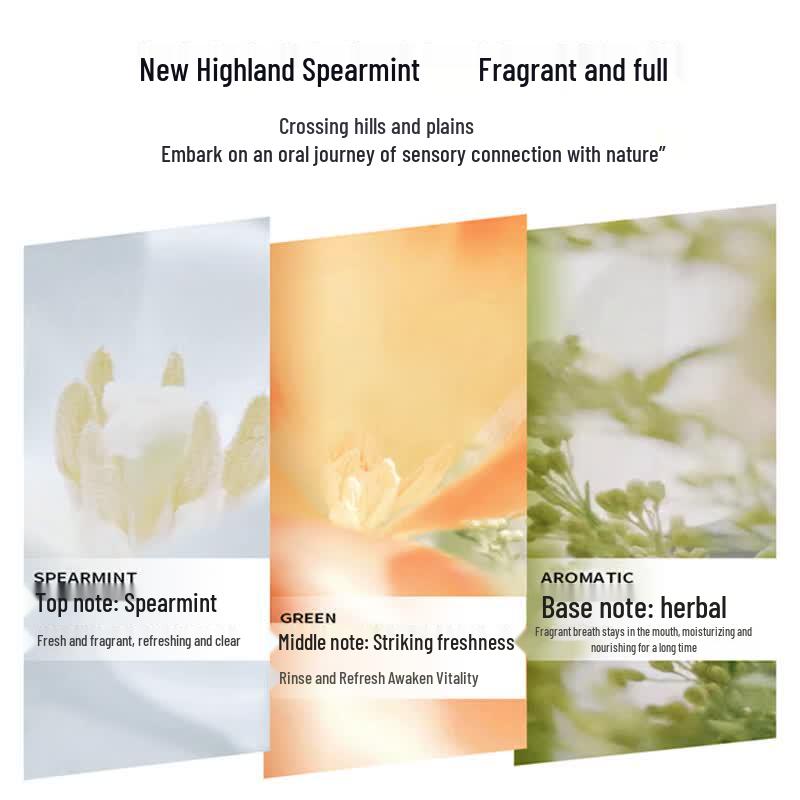Yunnan Baiyao Highlands Spearmint Toothpaste