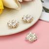 Accessories Bag Hairpin Pearl Flower Buttons Rhinestone Buttons Sewing Buttons Crystal Glass Stone