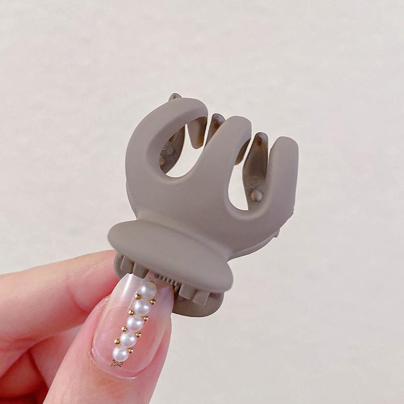 

Заколка для волос интернет-знаменитости: Зажим для фиксации высокого хвоста, маленький зажим-акула для женщин Single Piece