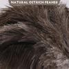Ostrich Feathers Duster, Retractable Feathers Duster for Home Cleaning Ceiling Furniture Fan, Duster,90 Inch
