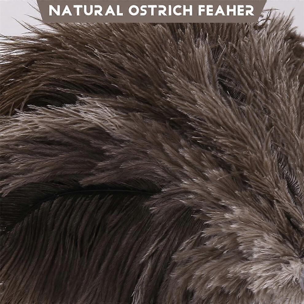 Ostrich Feathers Duster, Retractable Feathers Duster for Home Cleaning Ceiling Furniture Fan, Duster,90 Inch