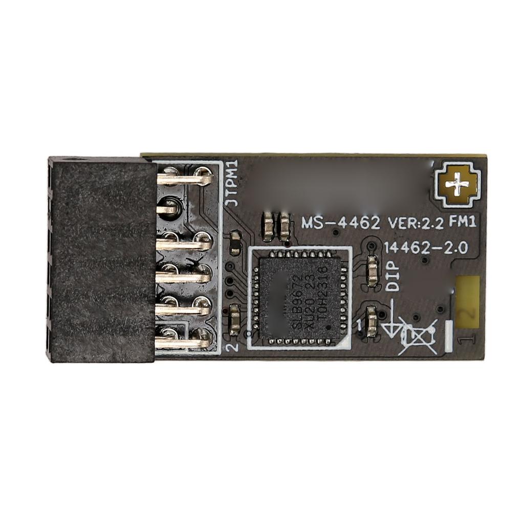 TPM2.0 Module TPM SPI 12Pin Encryption Security Module with SLB 9672 for MSI Motherboards for Windows 10 11
