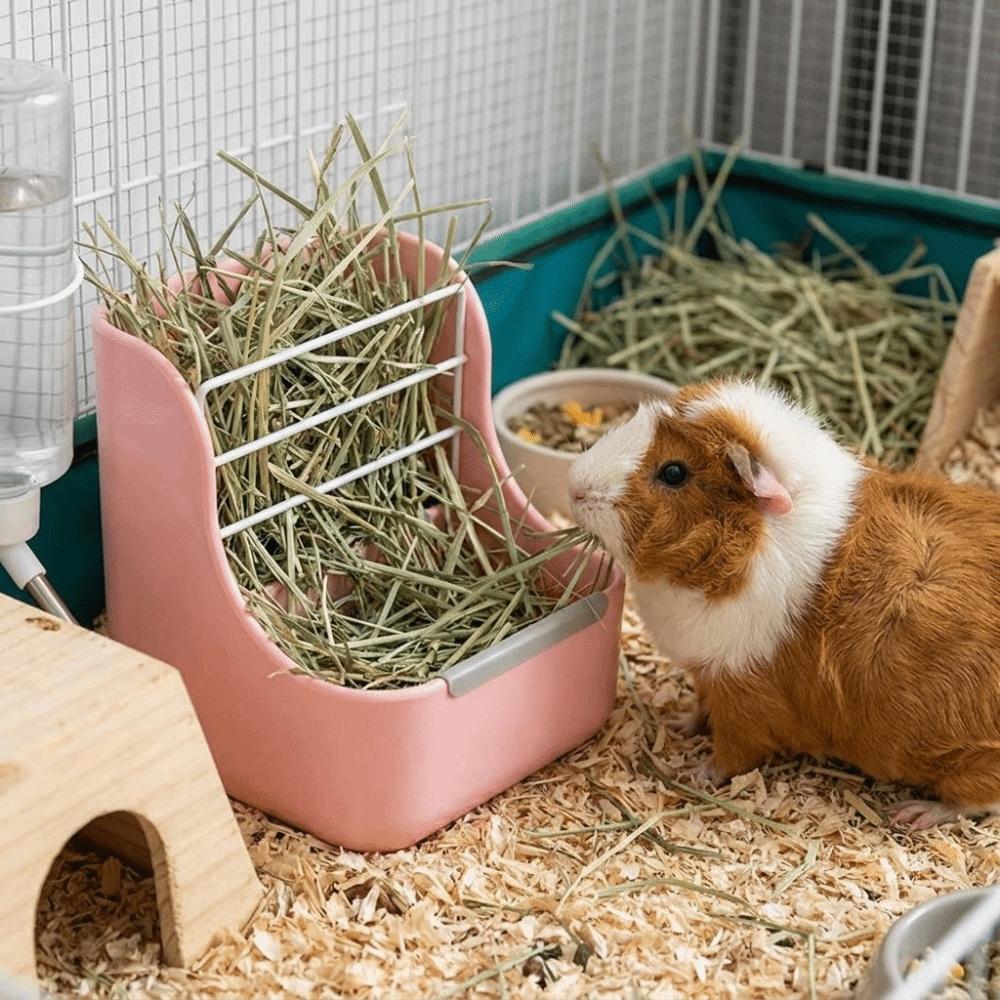 Fixed Grass Rack Hay Feeder Indoor Use Small Animal Feeder Rabbit Hay Rack Small Animals