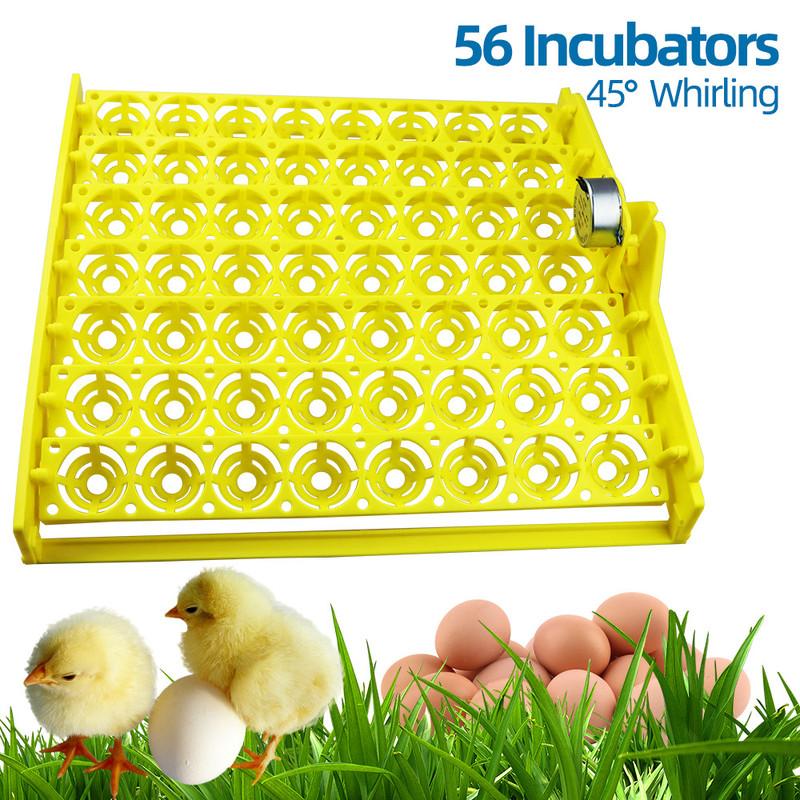 56 Eggs Incubator Eggs Automatic Incubator Incubator motor Turn Tray Poultry Incubation Equipment Farm poultry Hatching device