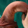 Meat Bully Doppelter Flüssigsilikon-Künstlicher Penis-Makeup Weiblicher Masturbator Dicker langer Urlaubspenis Sexuelle Bedarfsartikel für Erwachsene