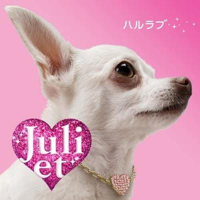 CD JULIET - Haru Love (First Press Limited Edit UMCK9317 Japan ObiDance & Electronica Used