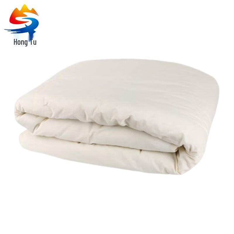 Hongtu All-Season Single Bed Mattress Pad & Quilt