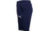 Puma Team Goal 23 Casual Shorts Men's Blue 656981-06