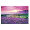EPOCH 1000-Piece Jigsaw Puzzle: Lavender Furano - Hokkaido (50x75cm) 09-052s, includes glue, spatula