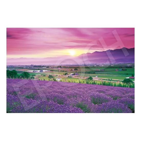EPOCH 1000-Piece Jigsaw Puzzle: Lavender Furano - Hokkaido (50x75cm) 09-052s, includes glue, spatula