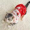 Katten – Kleding voor katten