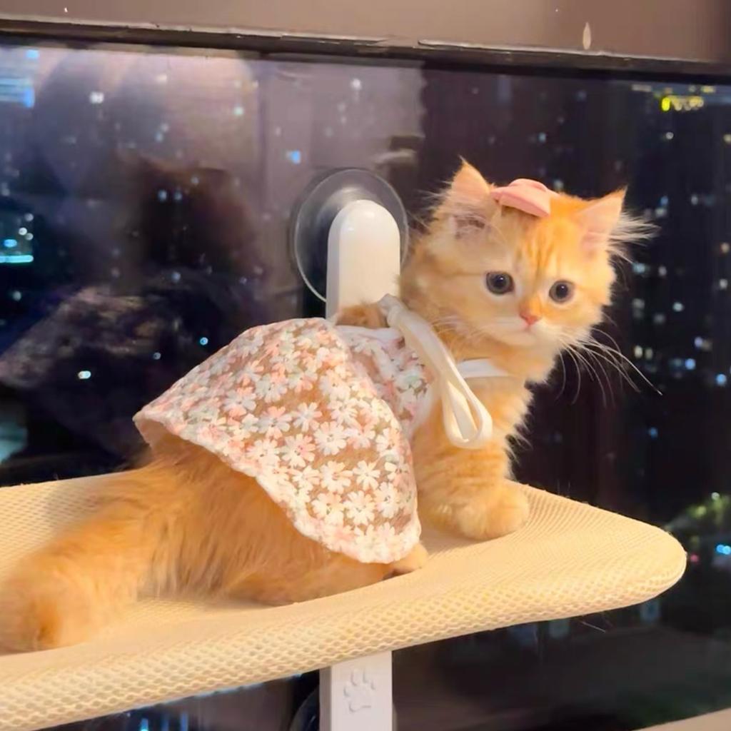 Pet Floral Dress with Lace Checkered Vest Teddy Top Cute Camisole Vest Dog Clothes for Small Dogs Puppy Clothes
