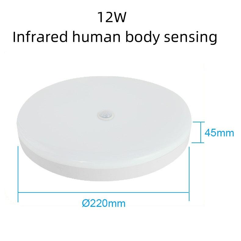 Ultra-thin Household Voice-controlled Ceiling Lamp AC220V 12W 18W with Human Body Infrared/radar Sensor Staircase Balcony Lighti