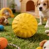 Köpek – Köpek oyuncakları