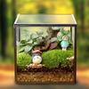 The Cube Shape Moss Glass Terrarium Succulents Desktop Greenhouse Modern Geometric Container Planter for Home Office