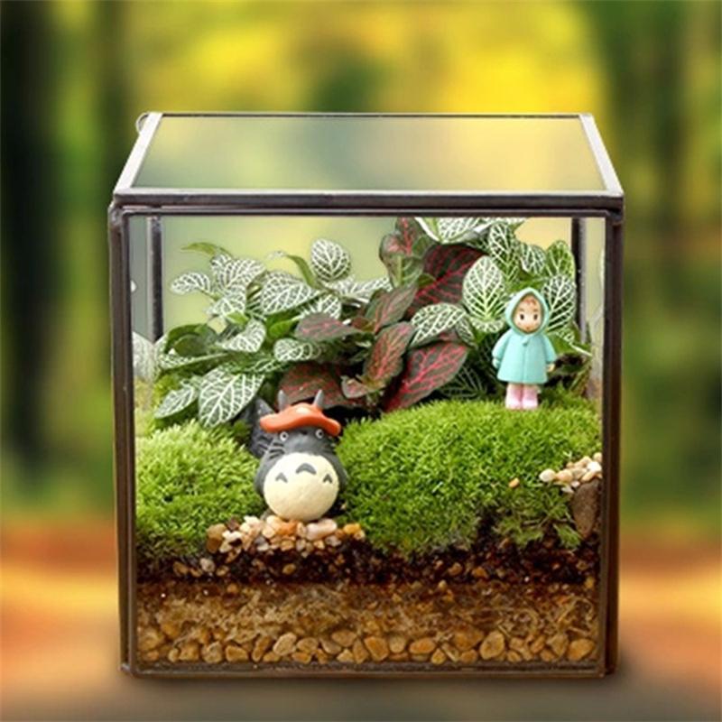 The Cube Shape Moss Glass Terrarium Succulents Desktop Greenhouse Modern Geometric Container Planter for Home Office