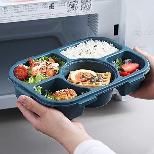HOMLLY 5 Compartments Leakproof Salad Bento Lunch Box Container