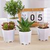 10/20pcs Octagonal Flower Pots Plastic White Planters with Drainage Holes Home Decor Succulents Indoor Outdoor Gardening TMZ