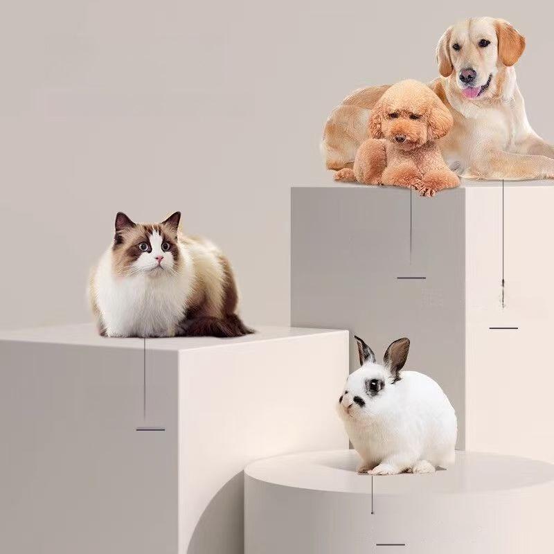 Professioneller Haarschneider für Haustiere, geräuscharm, für Katzen und Hunde, Haarschneiden für Sicherheitsschutz, Pflege-Werkzeug, Haarschneider für Haustiere
