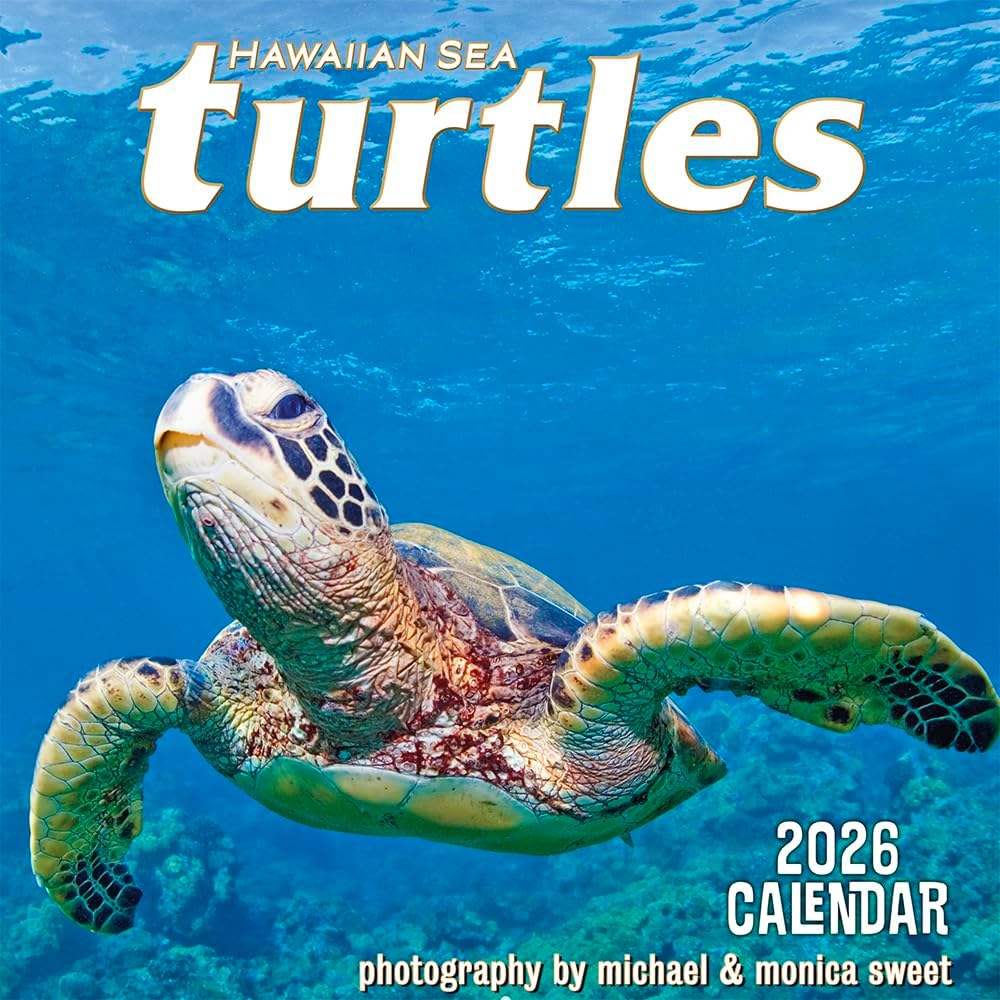 Deluxe Wall Calendar 2026 Hawaiian Sea Turtles - Photography by Michael and Monica Sweet - 2026 Wall Calendar 12 Month by Pacifica Island Art