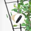 Înverzire şi amenajare – Susținere plante