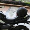 Motorcycle Elastic Net Bag - Helmet and Luggage Storage Cover