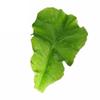 green-1pcs – green