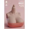 HiPlay Worldbox 1/6 Female Body Chest Swap Parts Large Suntan Skin