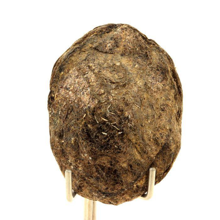 Pierres et Minéraux. Biotite. 116.0 ct. Freita Mountain, Arouca, Aveiro, Portugal.