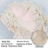 120 Color Chameleon Pearlescent Mica Powder for Epoxy Resin, Paint, and Watercolor
