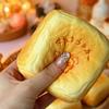 Slow Rising Square Milk Toast Squishy Toy Moist Thick Sensory Fidget Toy  Adults