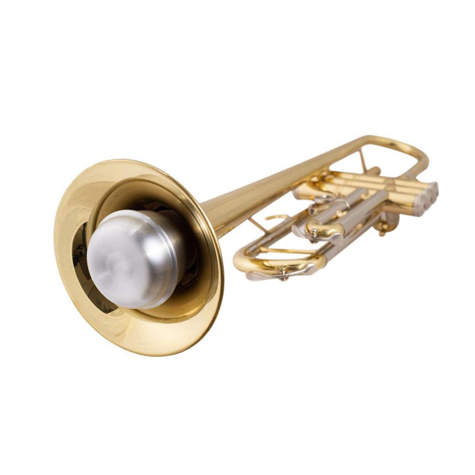 

Сурдина для трубы Глушитель Сурдина из алюминиевого сплава для трубы Подавитель шума Защита от помех Ослабитель слабого звука с резиной серебряный