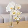 Real Touch Artificial Butterfly Orchid 98cm Silk Phalaenopsis Orchid Flower Arrangement
