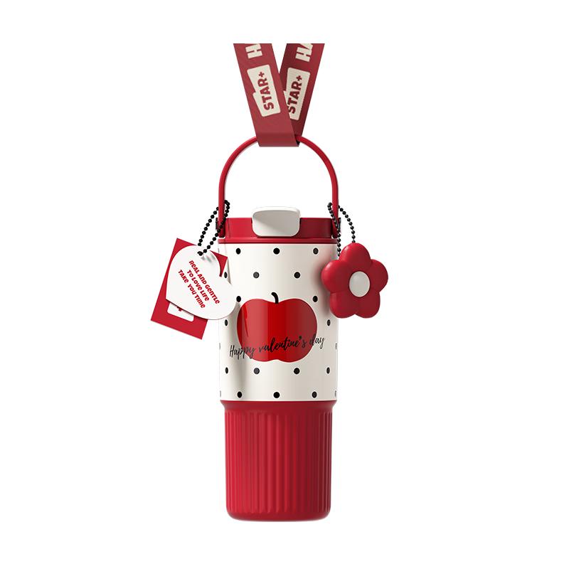 316L Stainless Steel Dual-Drink Insulated Bottle