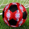 FC Bayern Munich Indoor Soccer Ball Colorful Machine Stitched PVC Size 5 Team Training Competition Ready Durable High-Bounce Cool Sports Gift