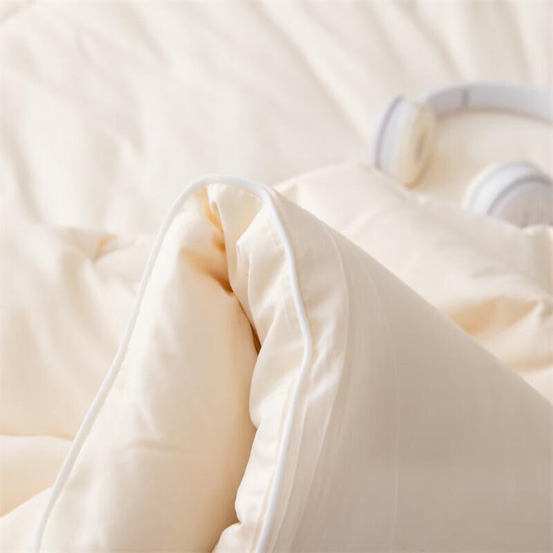 Southern Life Soy Blend Soft Cotton Winter Quilt