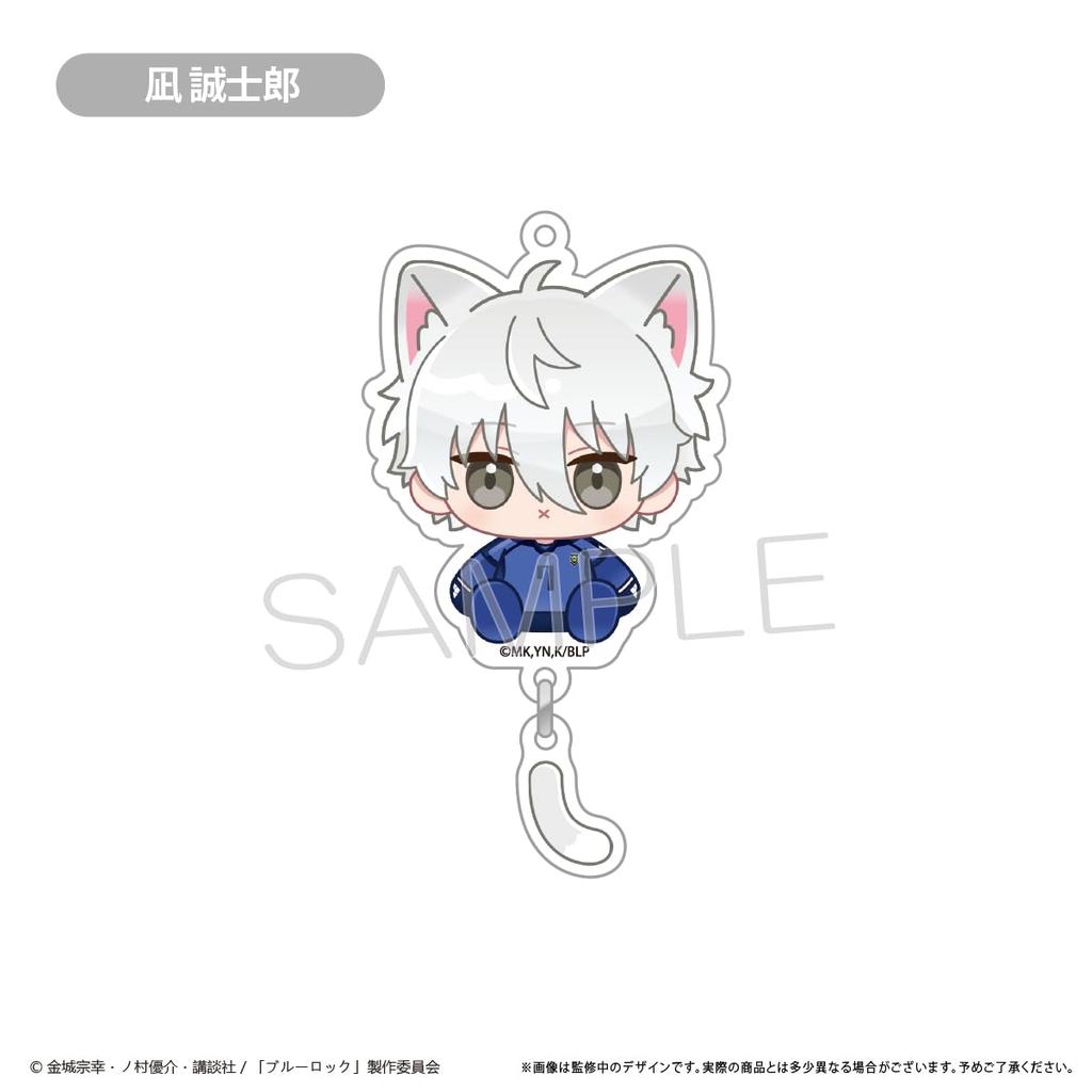 Blue Rock dangling acrylic box of 8 keychains,