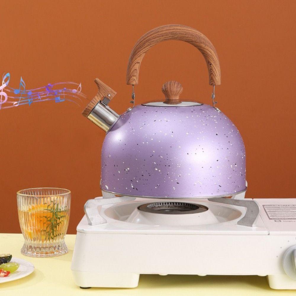 Flat Bottom Star Point Whistle Kettle 2/3L Teapot Durable Stove Water Kettle  Induction Cooker
