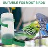 10pcs Automatic Drinking Bowls Water Feeders for Pigeons and Parrots Design for Birds Convenient Home Decor Water Dispenser
