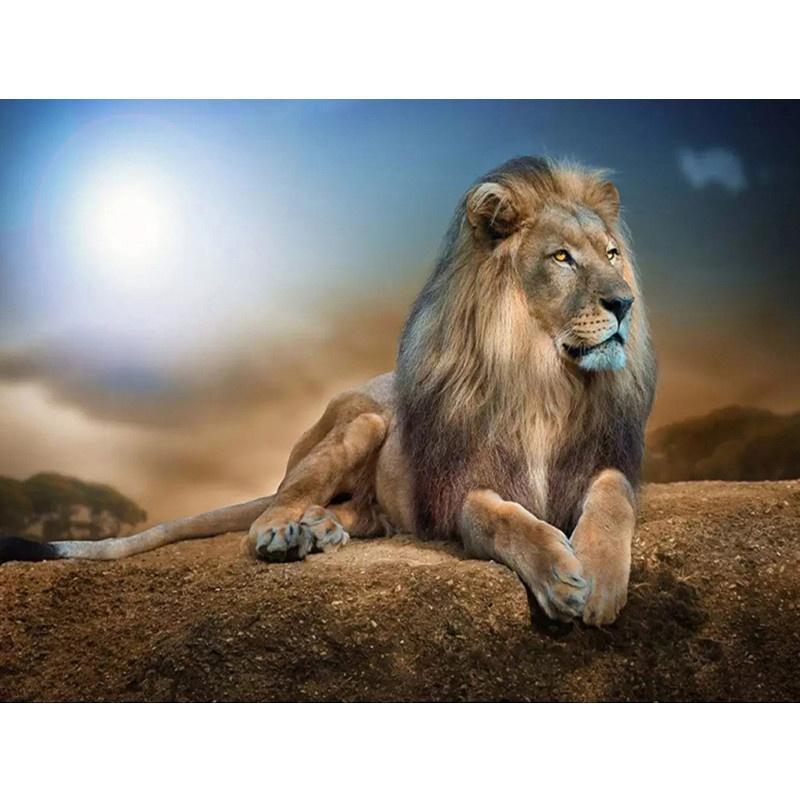 

5D DIY Алмазная картина Животное Лев Алмазная вышивка Набор для вышивки крестом Полный горный хрусталь Мозаика Домашний декор Round 30x40cm