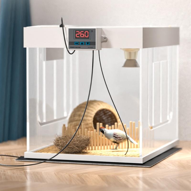 Reptilien Heizmatte USB Temperaturregelung Timer Schildkröten Terrarium Thermomatte Papagei Pflanze Heizmatte Reptilien Haustier Thermostat