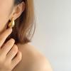 Elegant Metal Water Drop Earrings: Cold Style, Luxurious Gloss, High-End Niche Design
