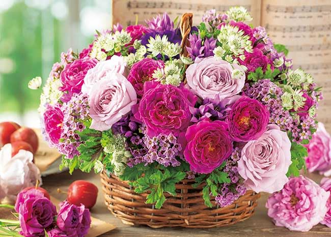 

APPLEONE Etude x 38 Jigsaw Made in Japan 500-299 Rose-Colored 500-Piece (53 cm) Puzzle,