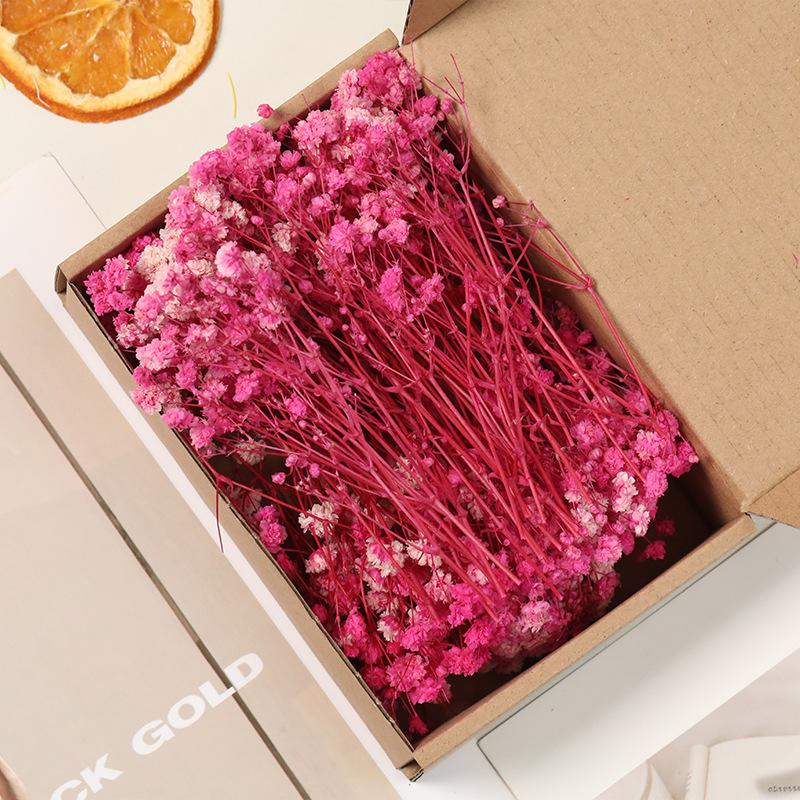 Gipskruid Gedroogde Bloemen Boeket Vaas Envelop Doe-het-zelf Bloemenarrangement Bruiloft Feest Artistiek Valentijnsdag Cadeaus