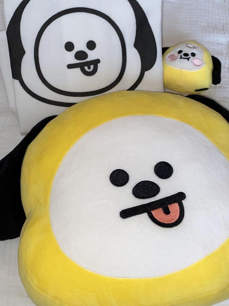 [USED] Official CHIMMY BT21 Cushion