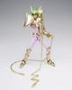 Saint Cloth Myth EX Andromeda Shun Bronze LIMITED TAMASHII NATIONS TOKYO Limited (Reborn Cloth) ~GOLDEN EDITION~