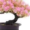 Artificial Bonsai Tree Small Fake Plants Decor Garden Decor Artificial Plants Faux Plants Indoor for Bathroom Farmhouse